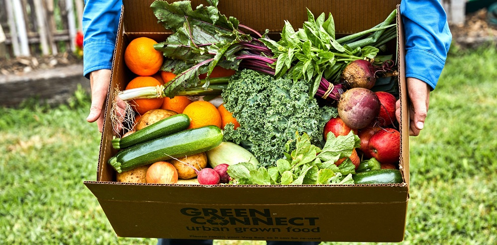 A box of fresh produce being carried