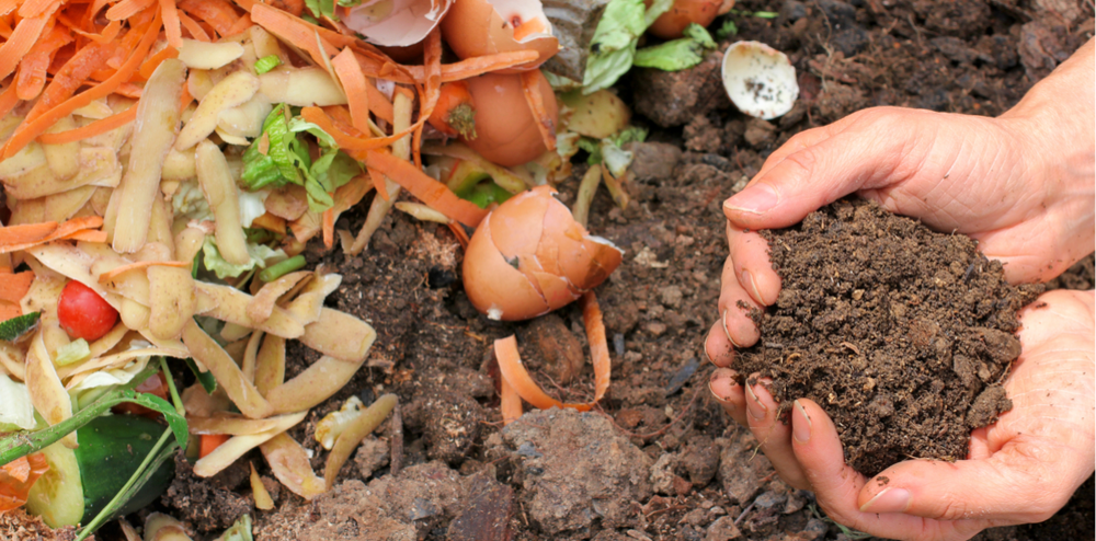 Composting at home two hands composting in a garden